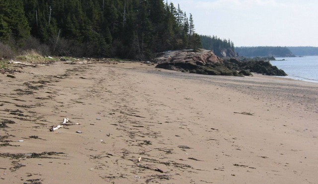 Open Concept Waterfront Home On Private Sandy Beach