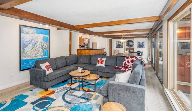 Panorama SkiLodge True Ski InOut Amazing Amenities