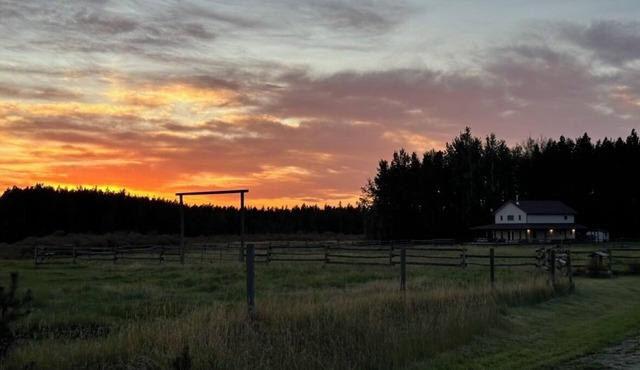 Private Secluded House and yard on Beautiful 1/4 section - Pet Friendly