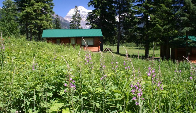 Rustic cabin in the Canadian Rockies!