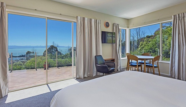 Spacious, Comfortable, Sunny Nelson studio with Sea Views!