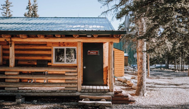 Spruce Cabin: Relax in the Mountains | Sleeps 4