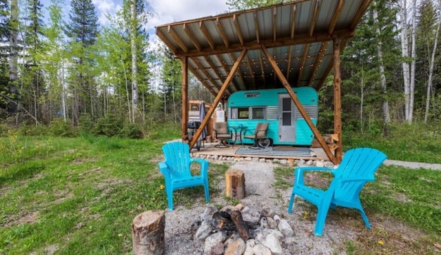 The Blaeberry Base Vintage Camper W/Outdoor Shower