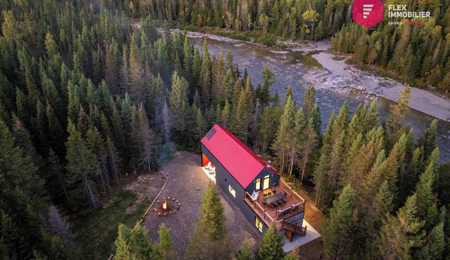 The Singing Salmon of Bonaventure - A wild escape on the river