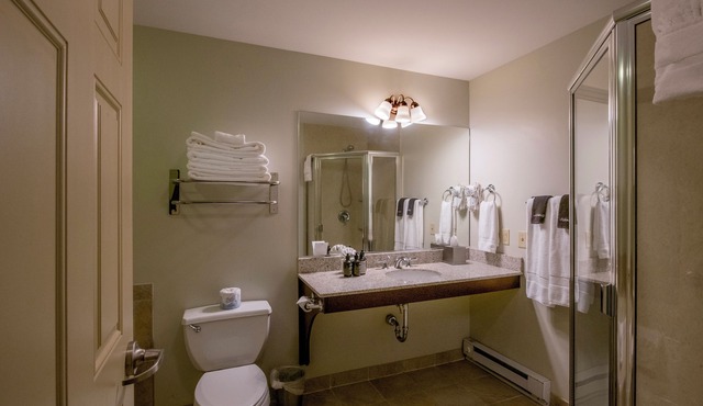 The ultimate resort experience. Pool, hot tub, sauna, steam room, exercise room.