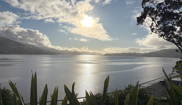 Waterfront 2-bedroom apartment with AC in Dunedin