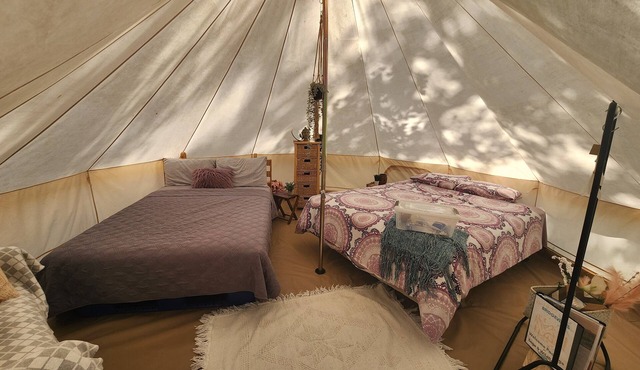 #Y2 Sage & Wildflower- 1 Queen bed/-Pet Friendly