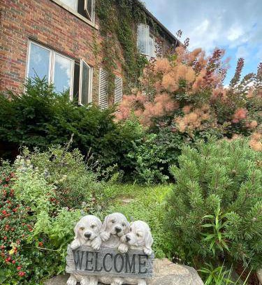 Forest Hill South Bed & Breakfast | 84 m² Bed and breakfast ∙ 4 guests