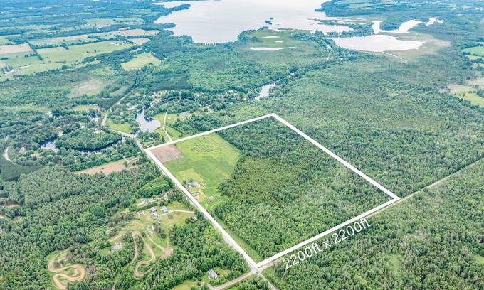 Baddow Other | AAA Luxury Farmhouse/Cottage at a Farm, Beach and boat launch 8 minutes
