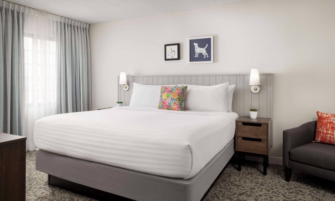 Thornhill Hotel | Enjoy Comfort & Convenience at This Modern Thornhill Suite with Swimming Pool