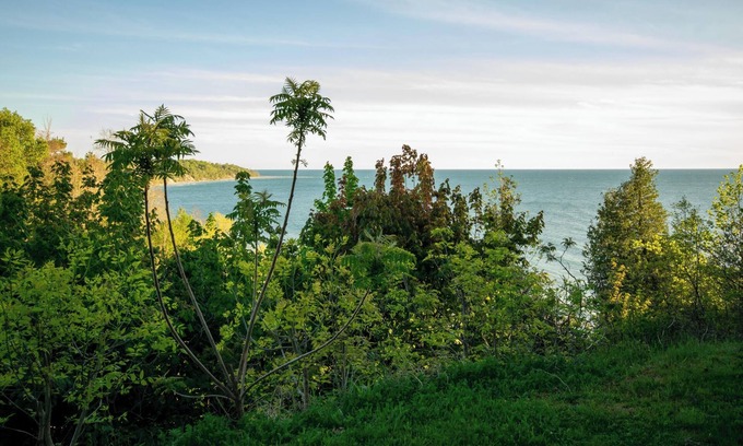 Central Huron Cottage | Fiddler's Green: Amazing Views!
