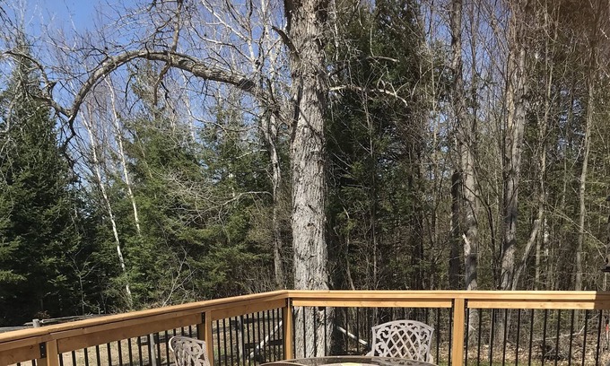 Faraday Cottage | Quiet cozy cottage tucked in a private wooded setting