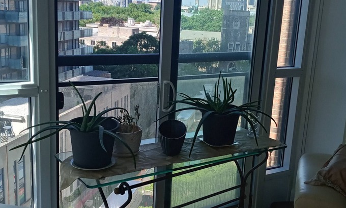 Bay Cloverhill Apartment | WELCOME TO LA RELAXATION n1 Room with a Queen size bed, desk & chair mini fridge