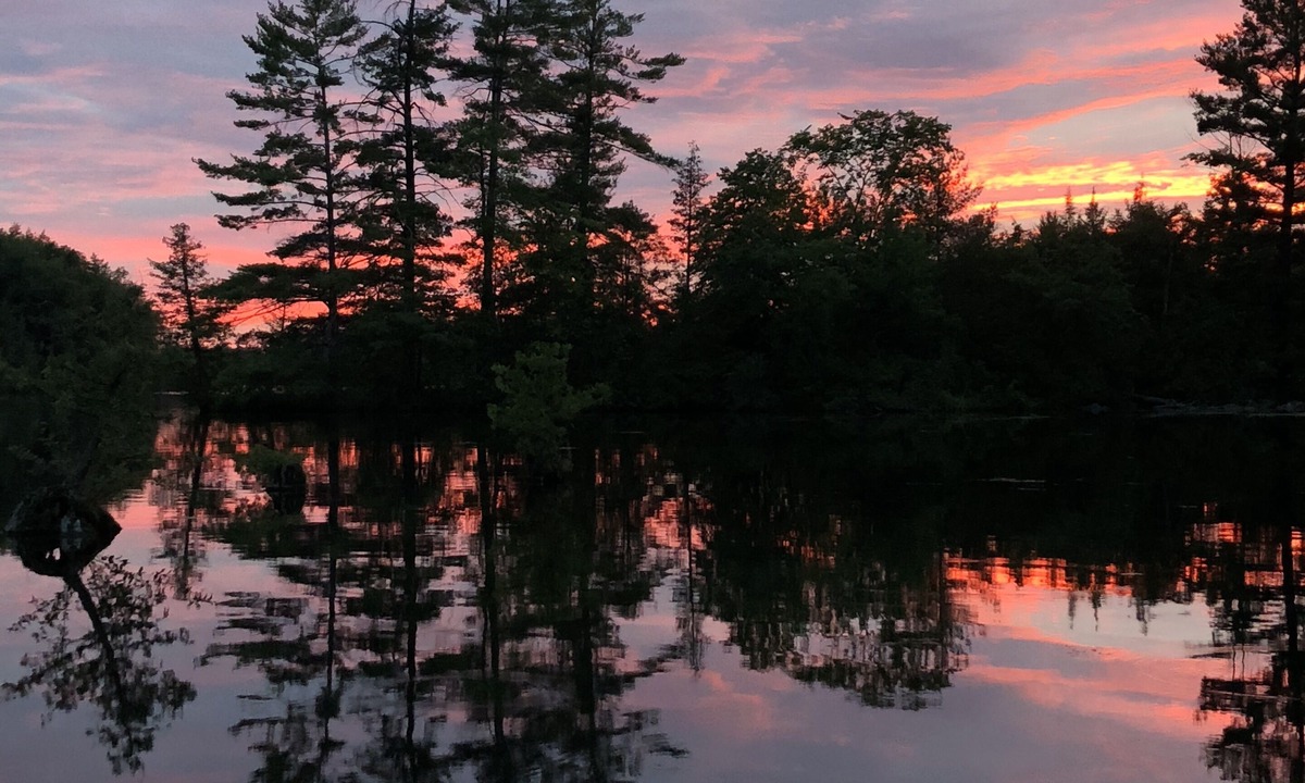 Selwyn Cottage | Island Retreat on Lower Buckhorn