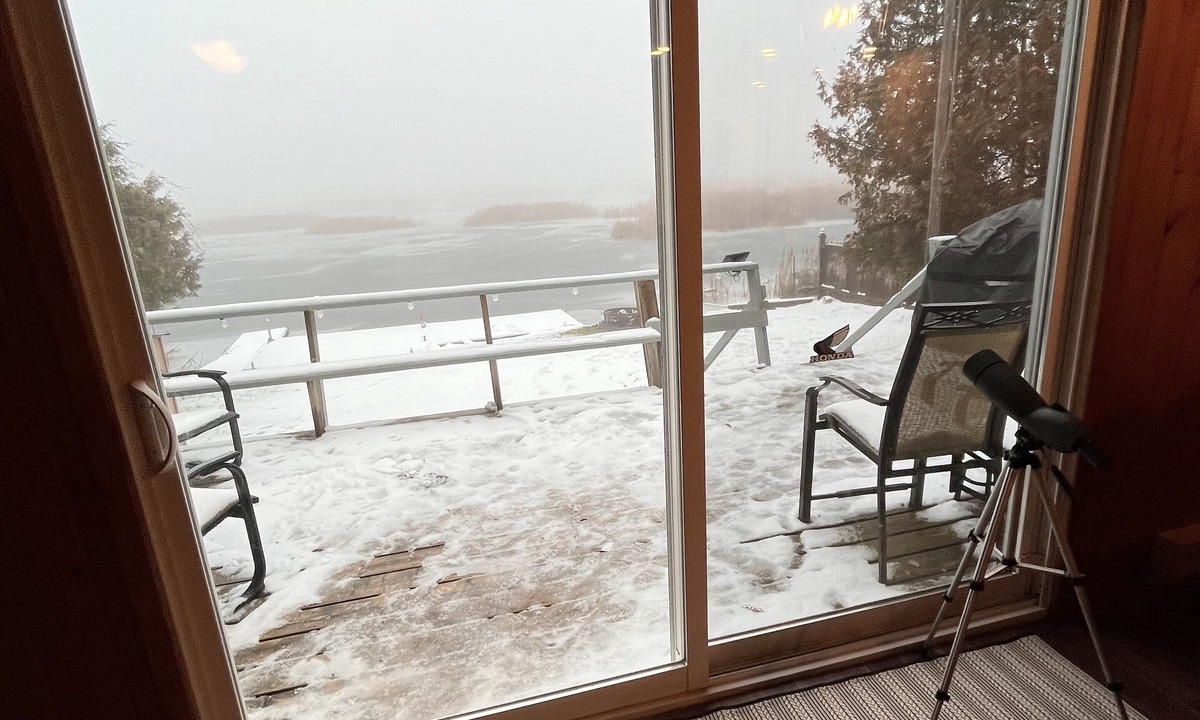 Omemee Cottage | Kawartha Lakeside Haven. Cozy waterfront cottage, pet friendly retreat