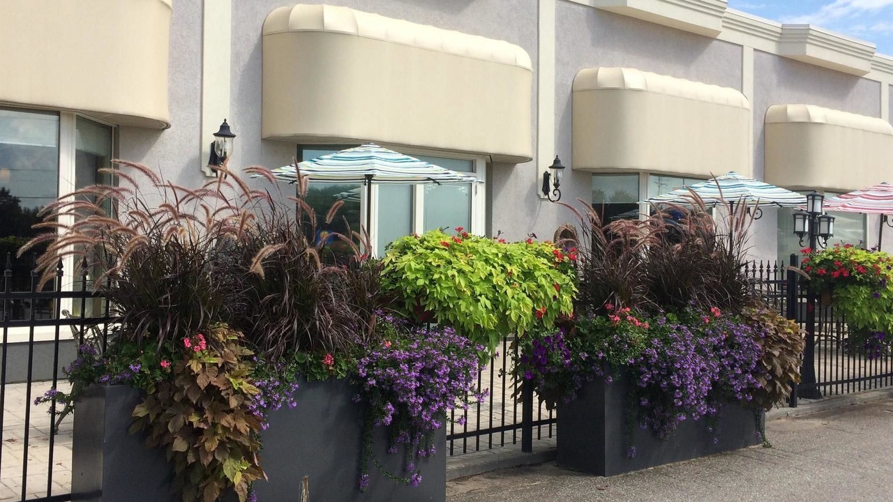 Photo of Buildings in Orillia
