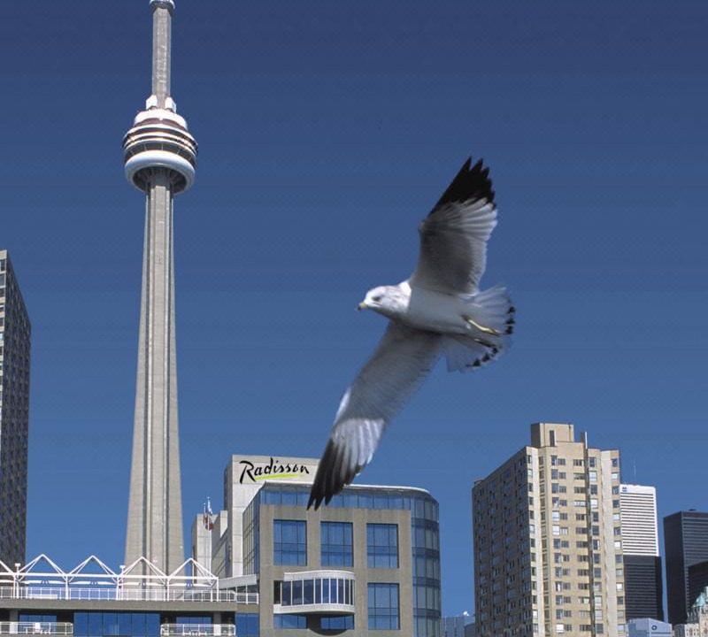 Photo of Buildings in Central Waterfront