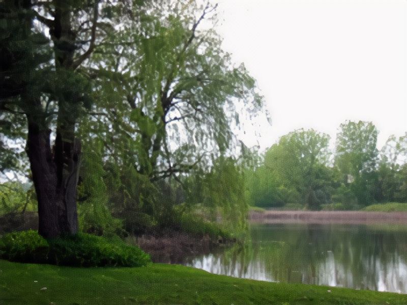 Photo of Others in Simcoe