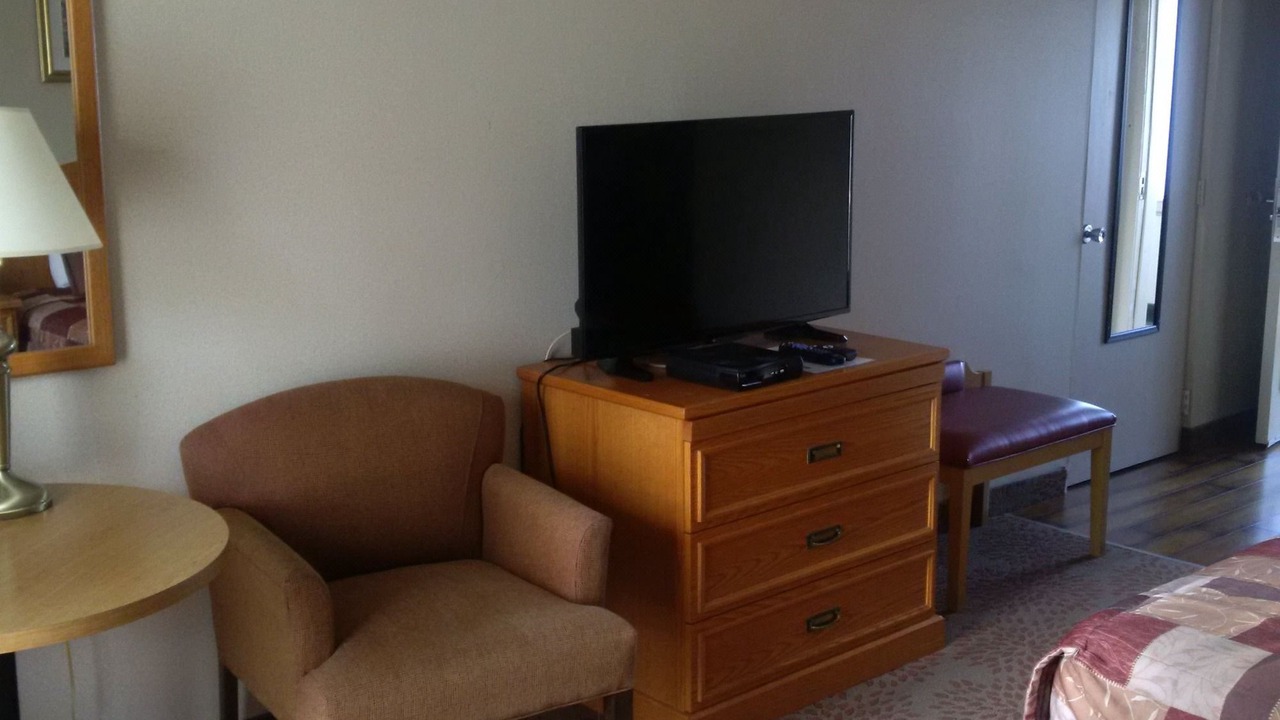Photo of Livingroom in Forest