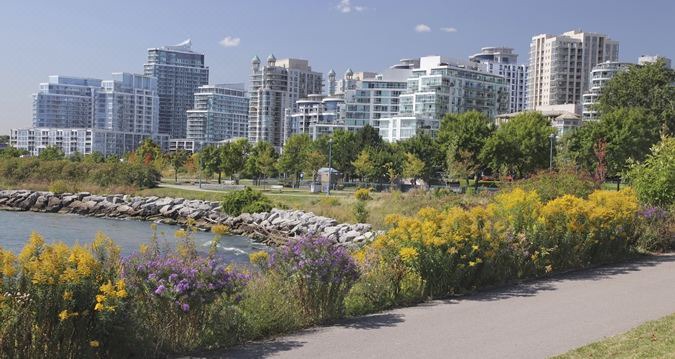 Photo of Others in Mississauga