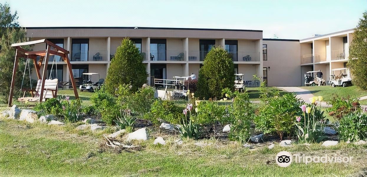 Photo of Buildings in Forest