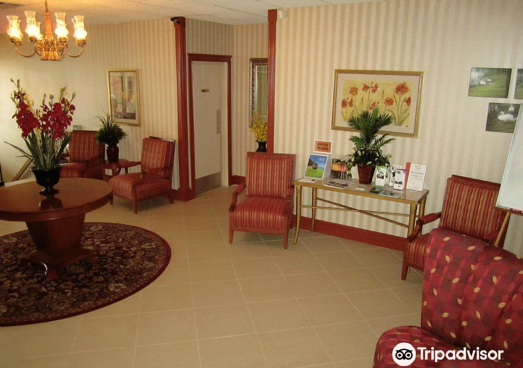 Photo of Livingroom in Forest