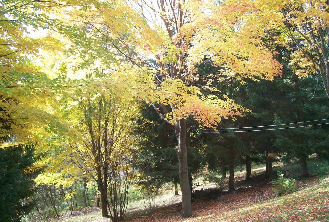 Photo of Others in Quinte West