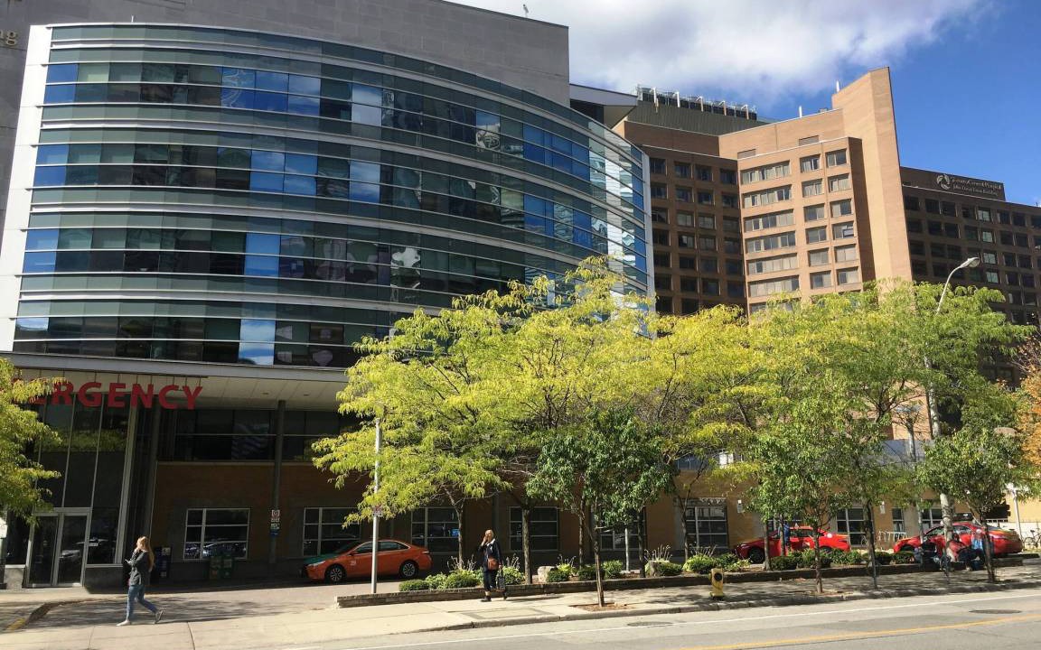 Photo of Others in Bay Street Corridor