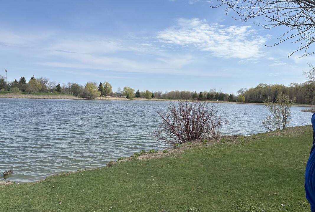 Photo of Others in Lakeview