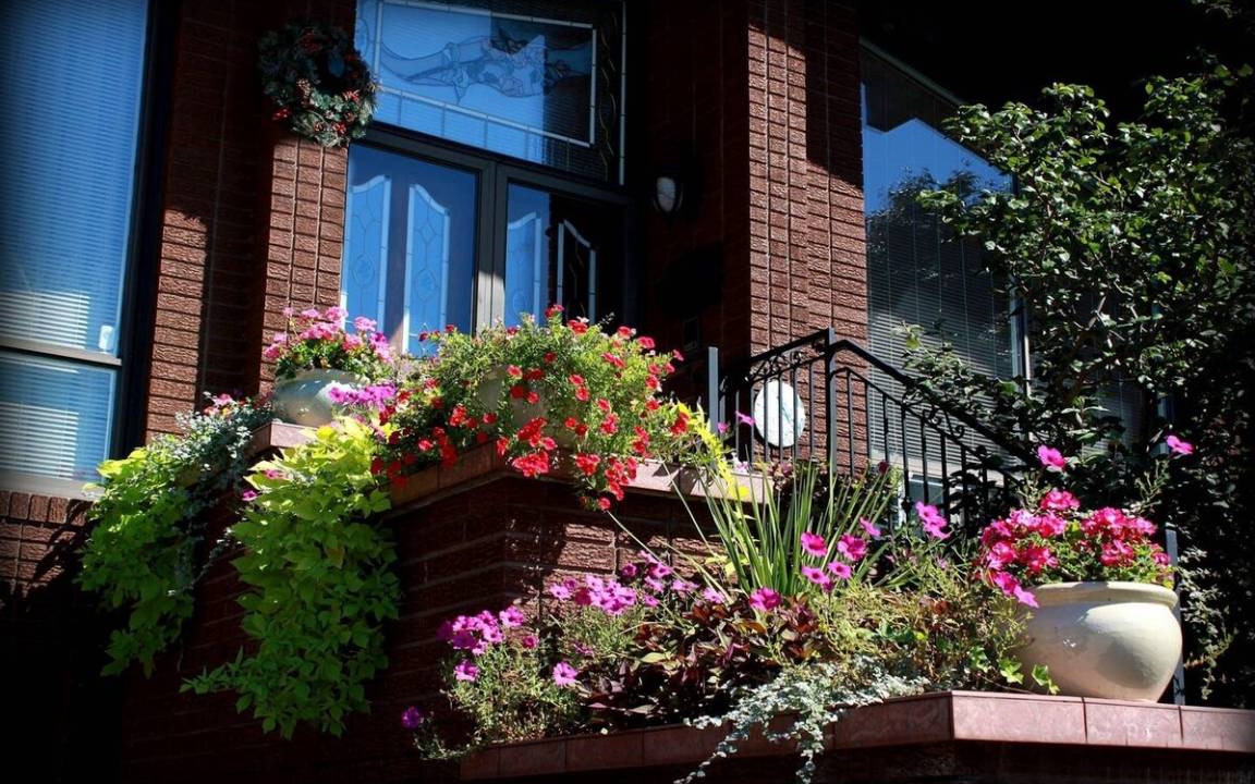 Photo of Patio Balcony in Humber Summit