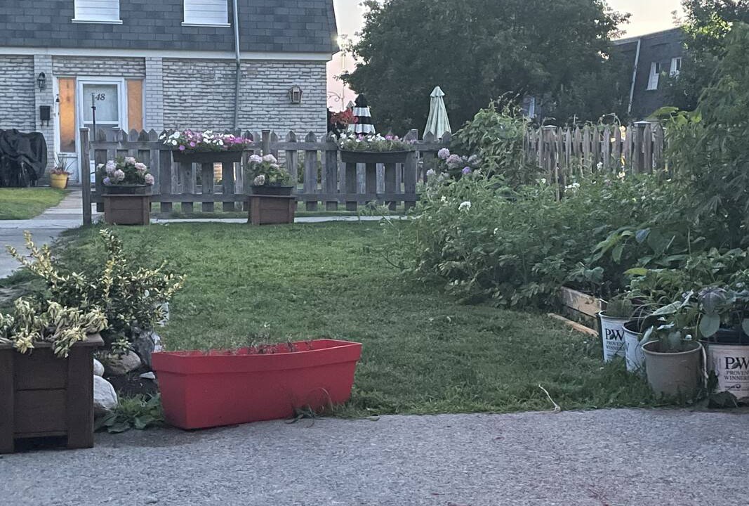 Photo of Others in Lakeview