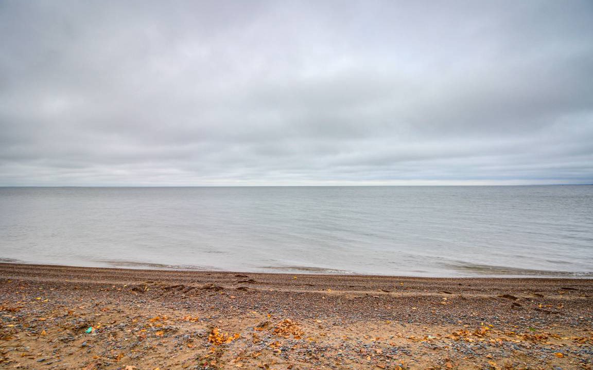 Photo of Human In Picture in South Harbor