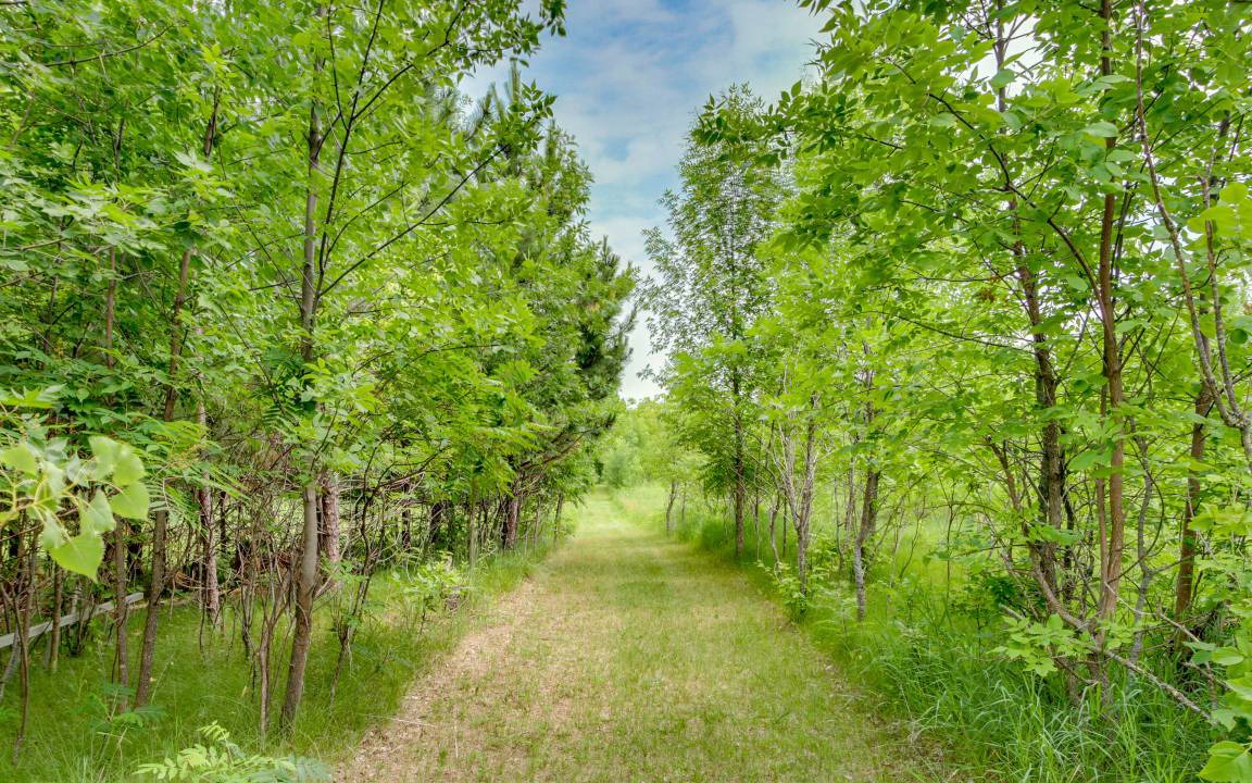 Photo of Outdoor in Richville