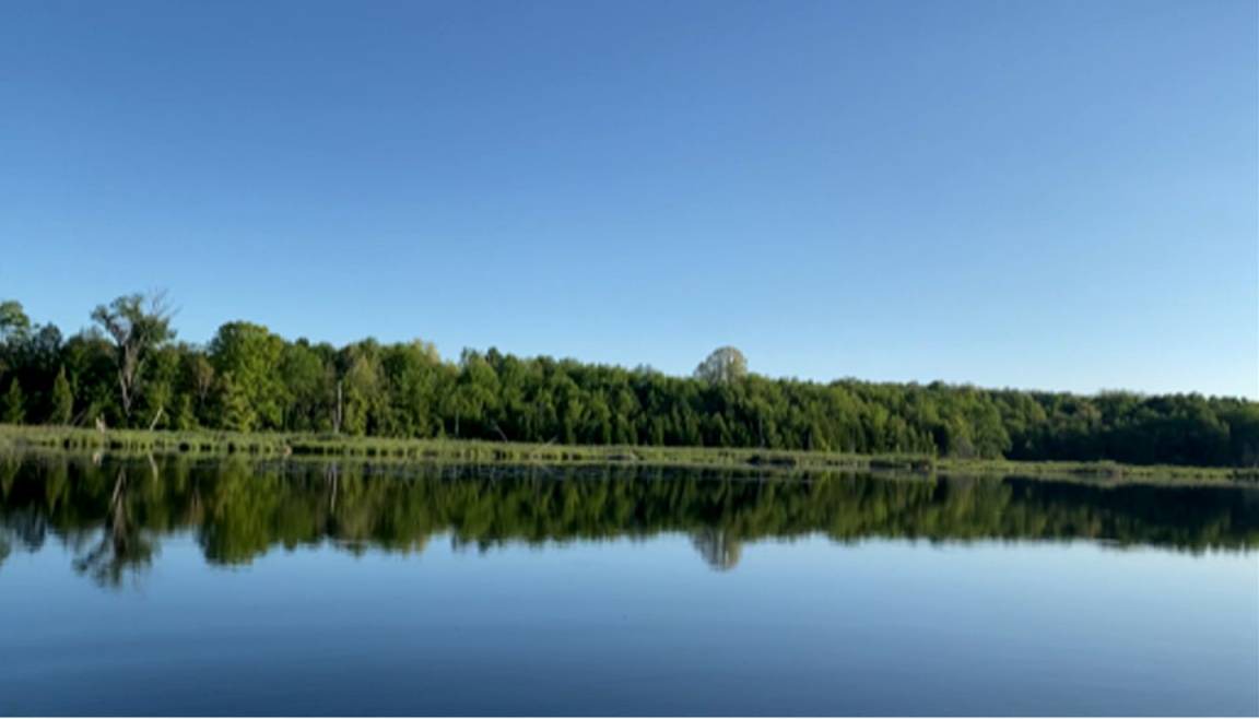 Photo of Others in Trent Hills