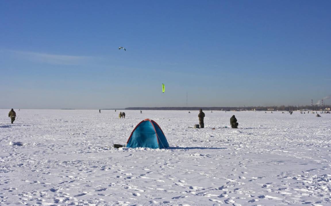 Photo of Others in Pleasant Point