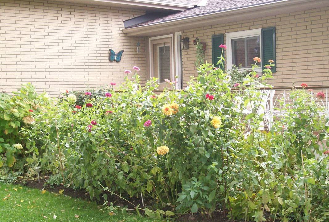 Photo of Others in Quinte West