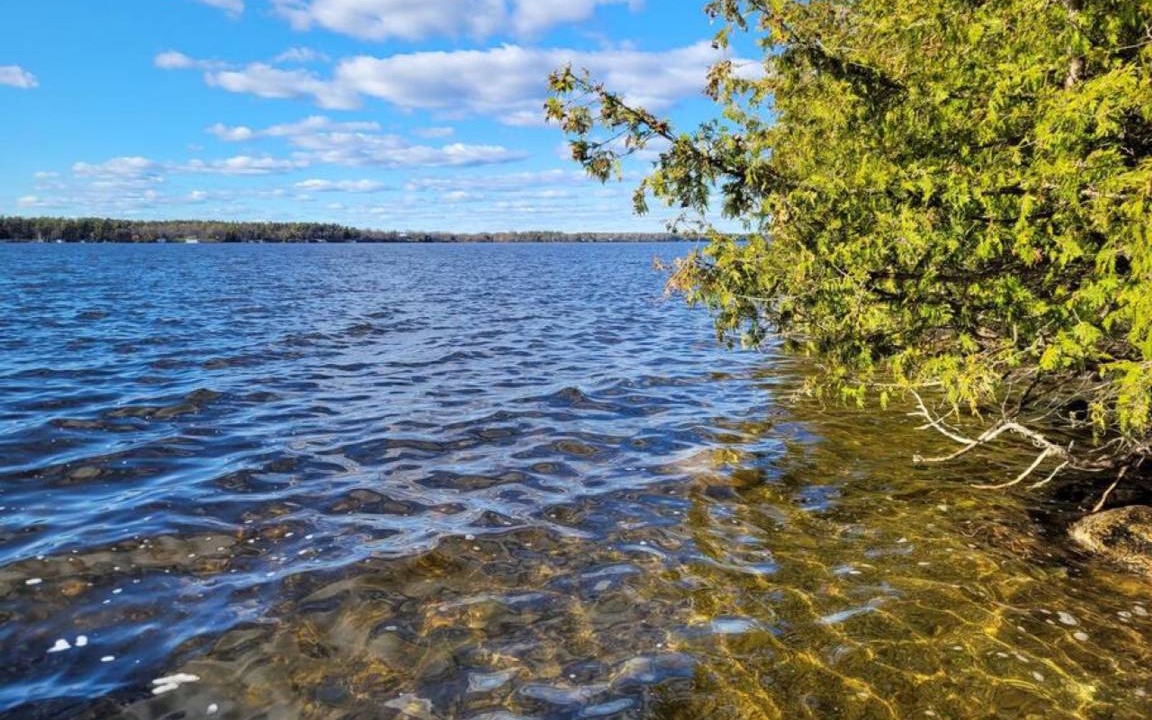 Photo of Others in Pleasant Point