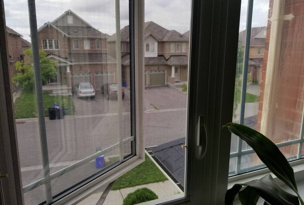 Photo of Others in Richmond Hill