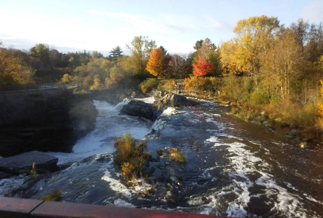 Photo of Others in Ottawa Division