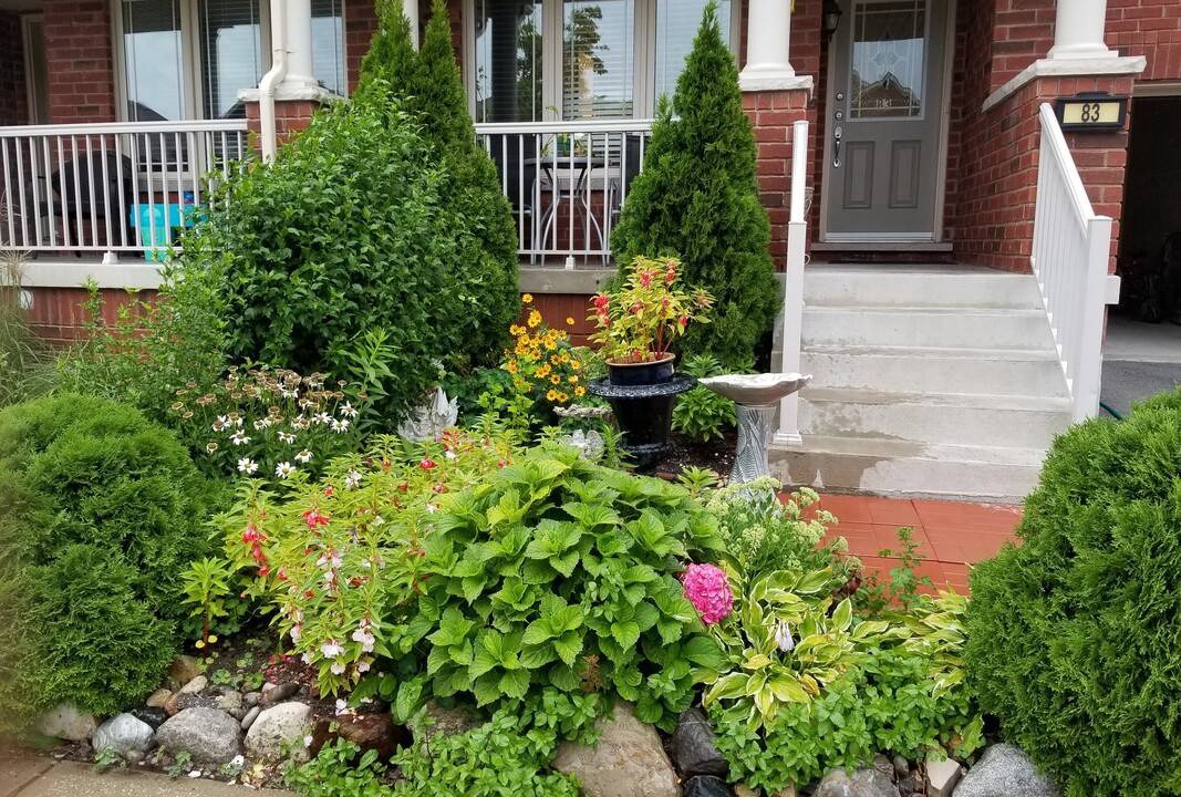 Photo of Others in Richmond Hill