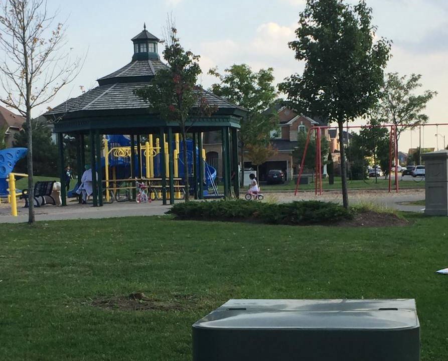 Photo of Buildings in Brampton