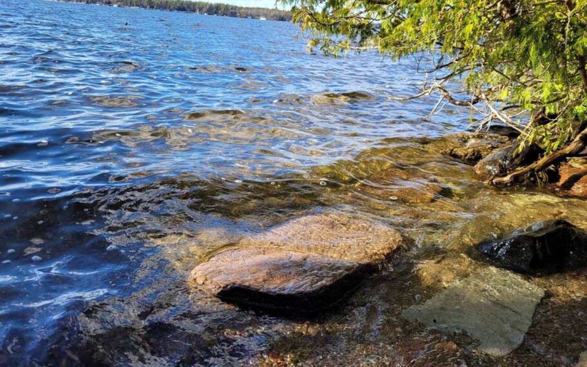 Photo of Others in Pleasant Point