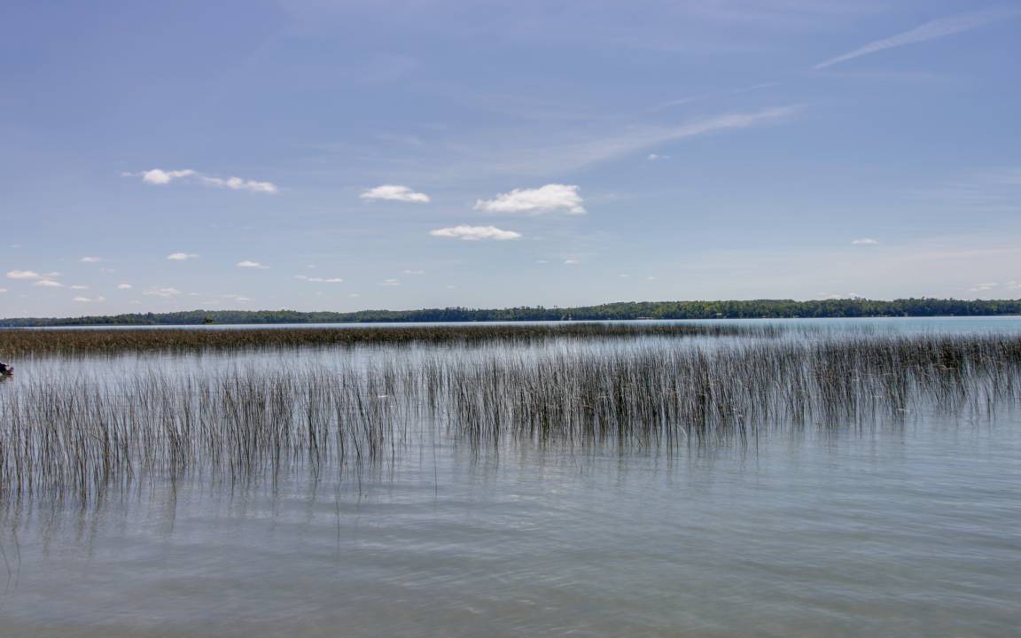 Photo of Others in Deer River