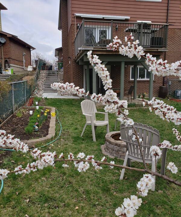 Photo of Others in Pleasant View