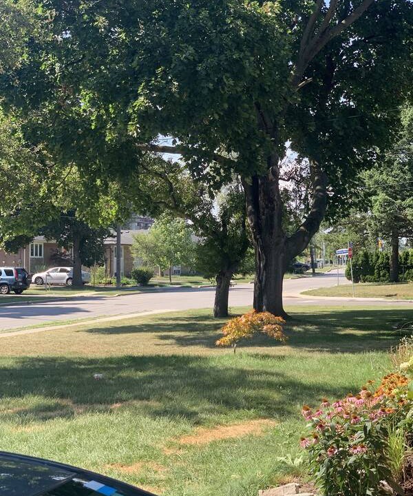 Photo of Others in Sullivan
