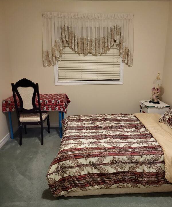 Photo of Others in Brampton