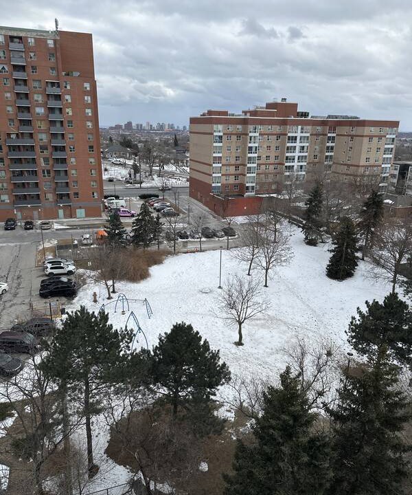 Photo of Others in Toronto