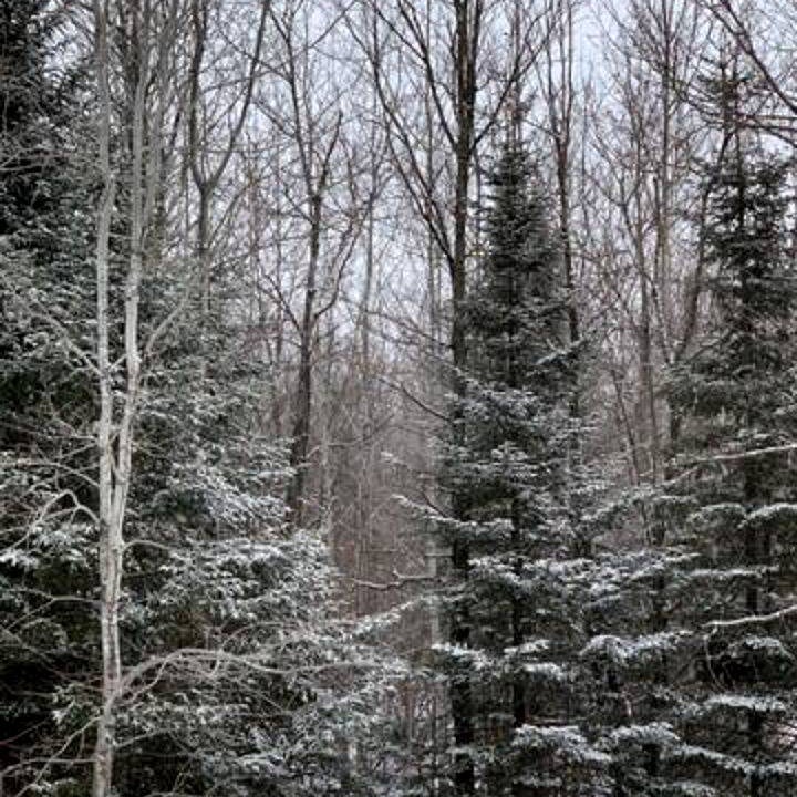 Photo of Others in Esko