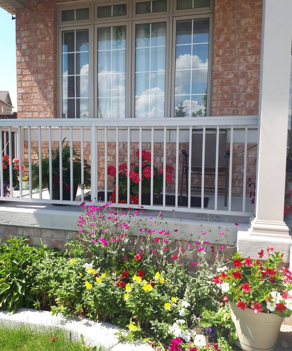 Photo of Buildings in Brampton