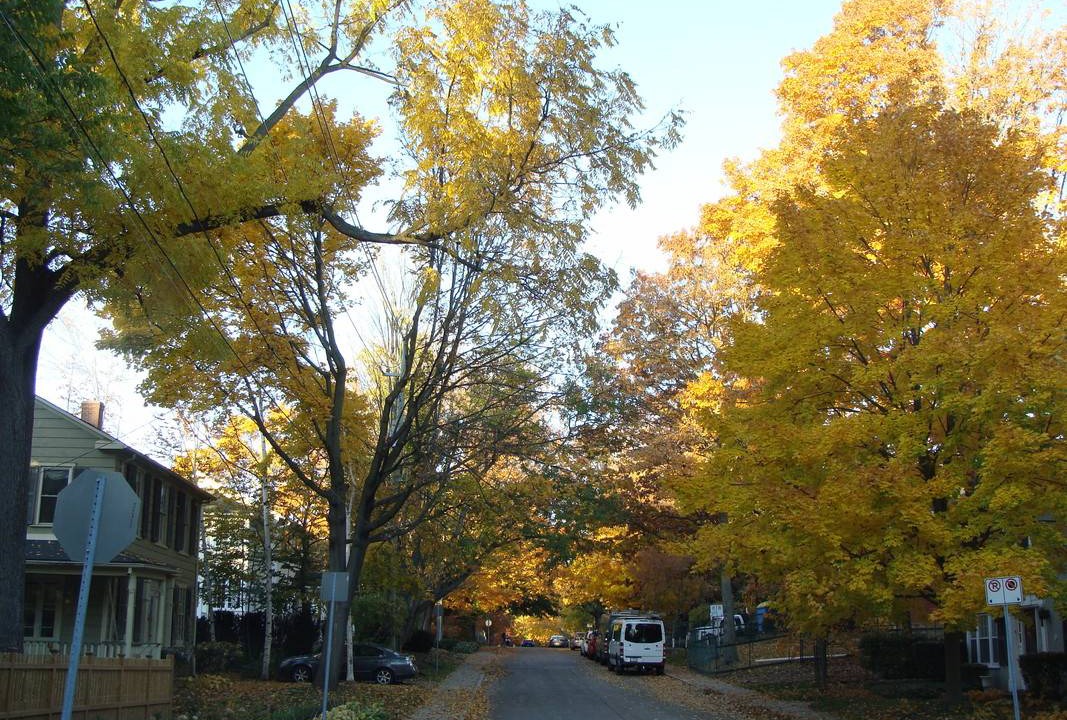 Photo of Others in Cooksville